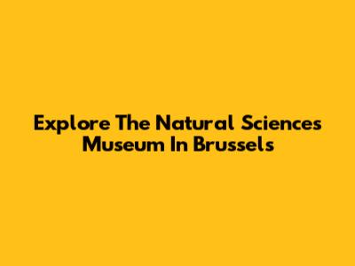 Explore The Natural Sciences Museum In Brussels